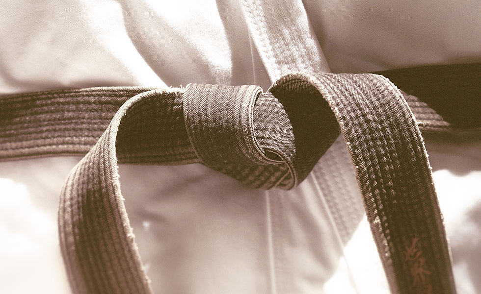 Mark Lawler martial arts